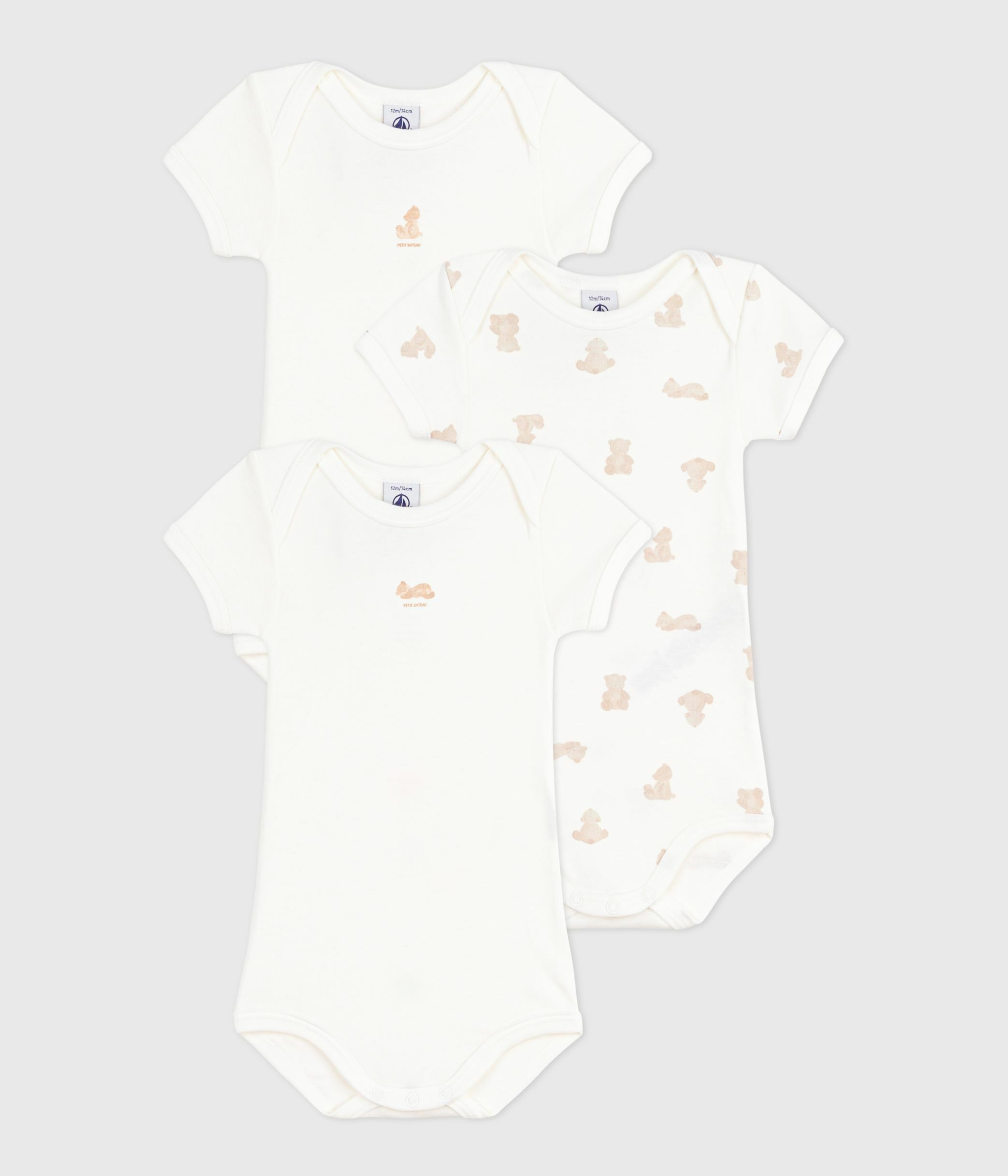 Pack of babies' short-sleeved bear-print cotton bodies