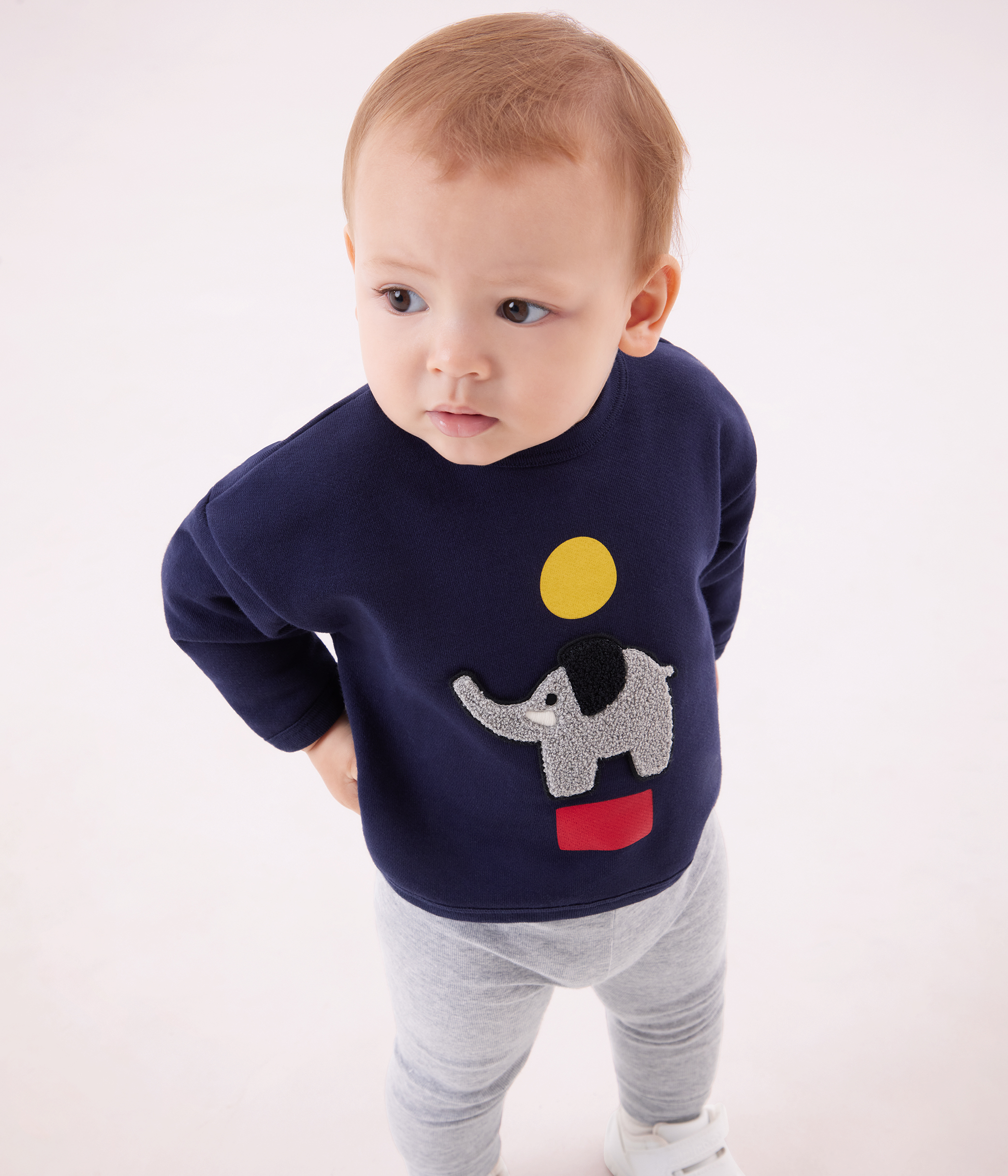 Babies' elephant patterned cotton sweatshirt