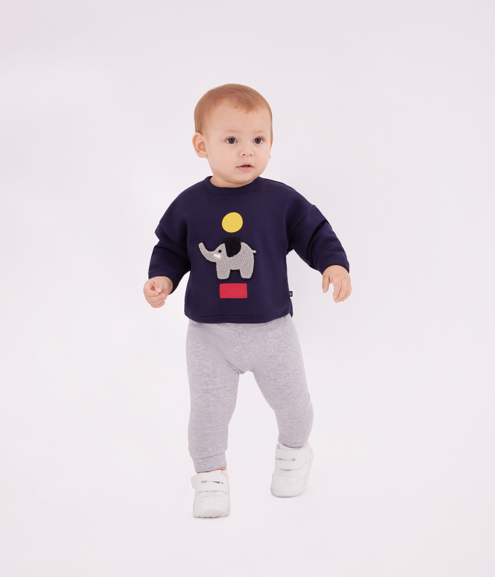 Babies' elephant patterned cotton sweatshirt
